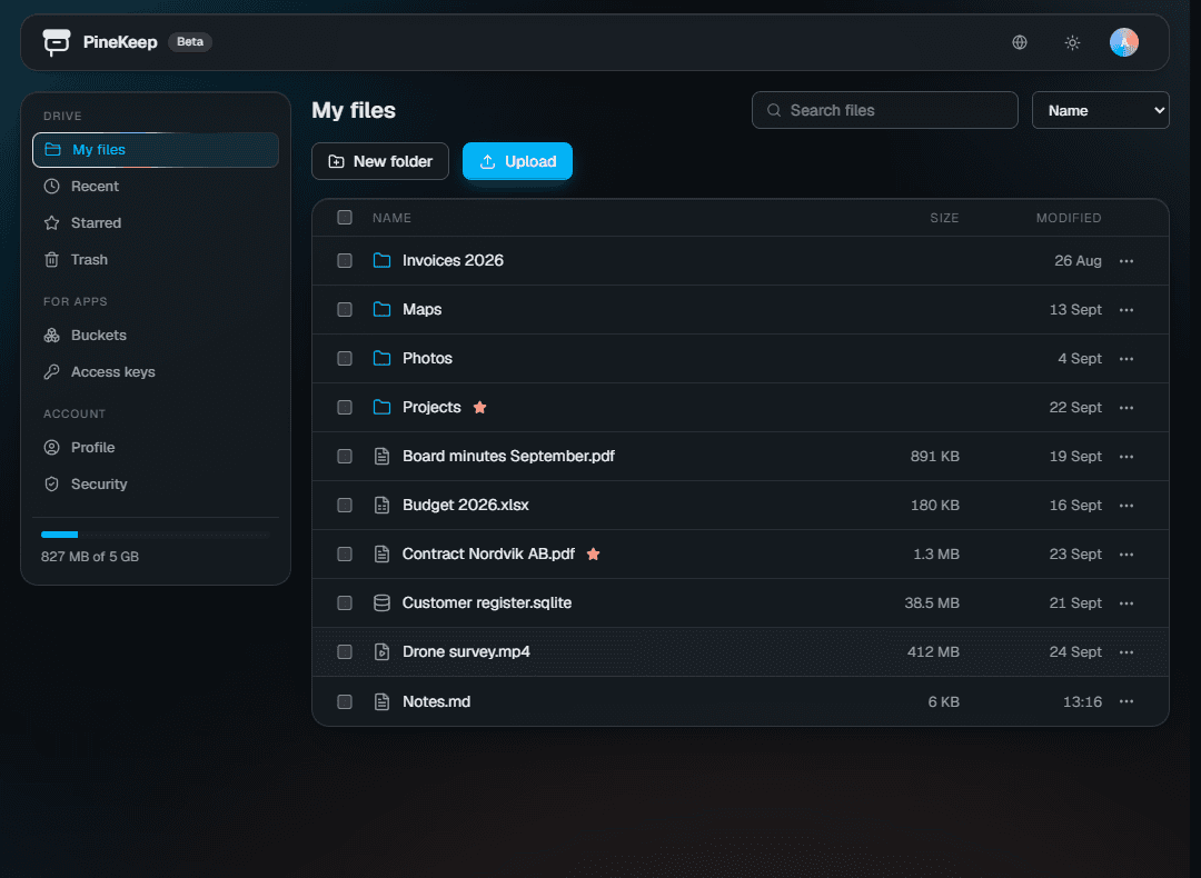 Drive, for your files