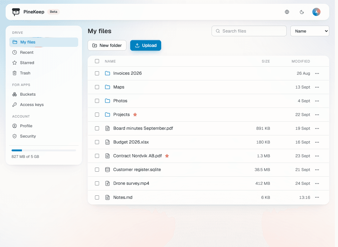 Drive, for your files